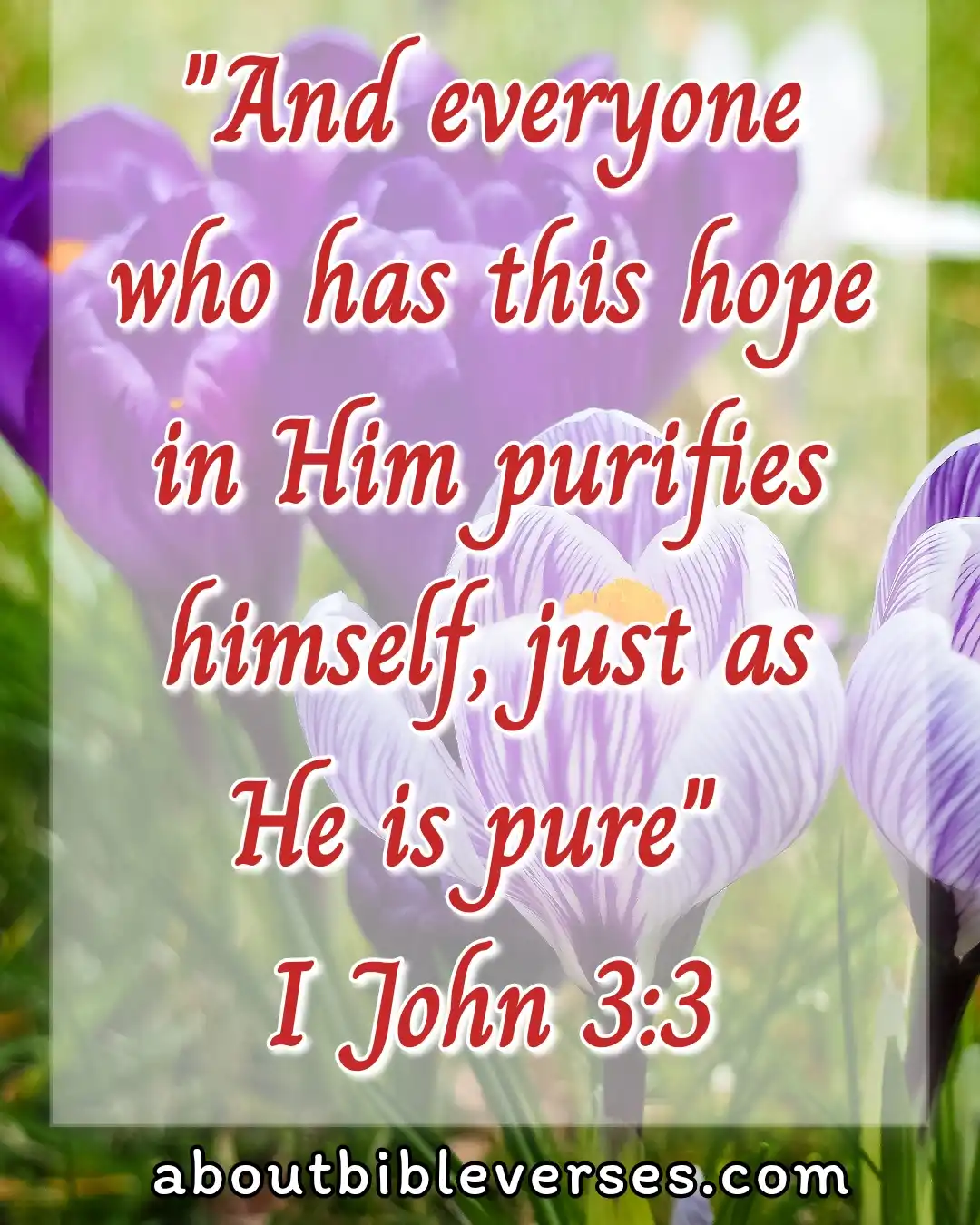 hope bible verses (1 John 3:3)