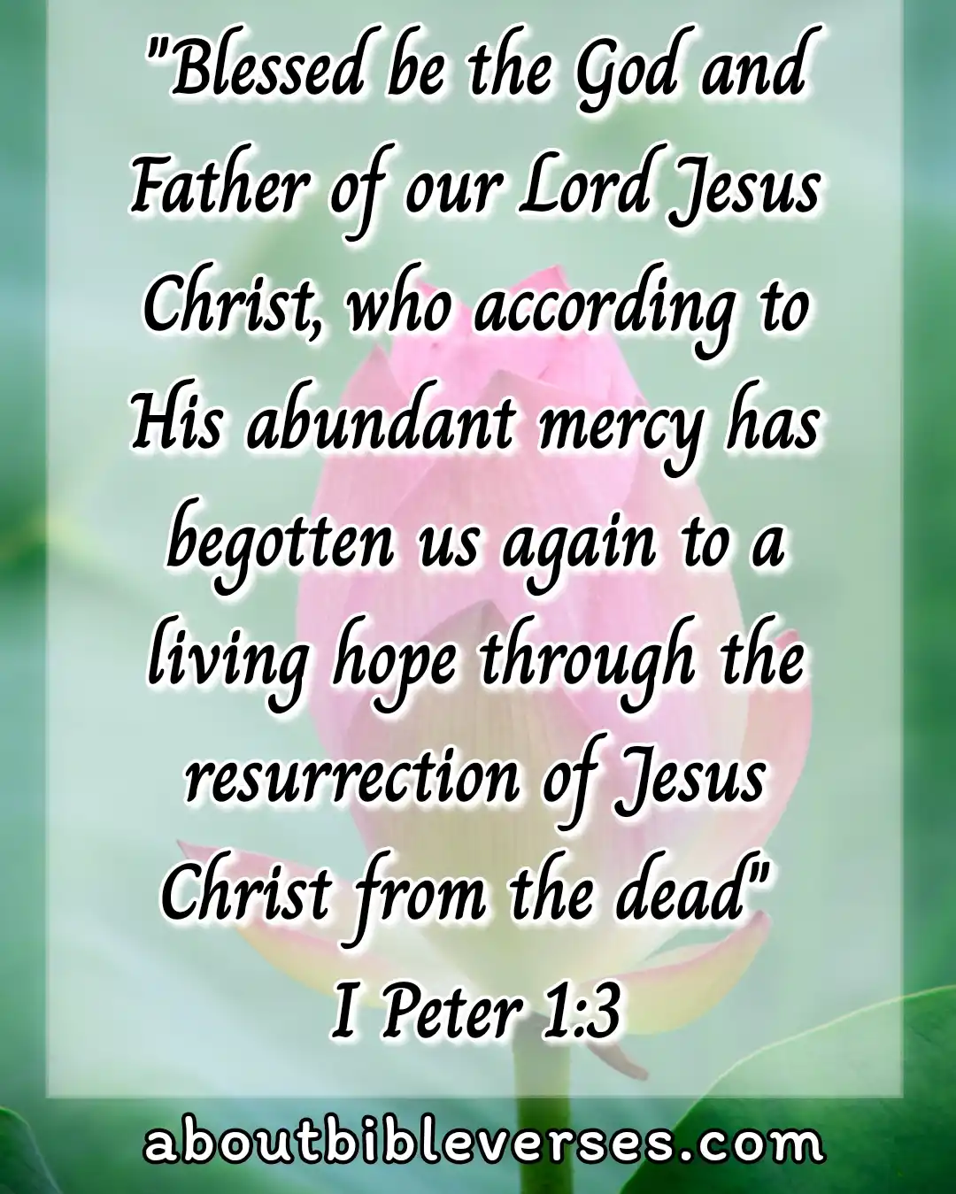 Bible Verses About Resurrection Of Jesus (1 Peter 1:3)