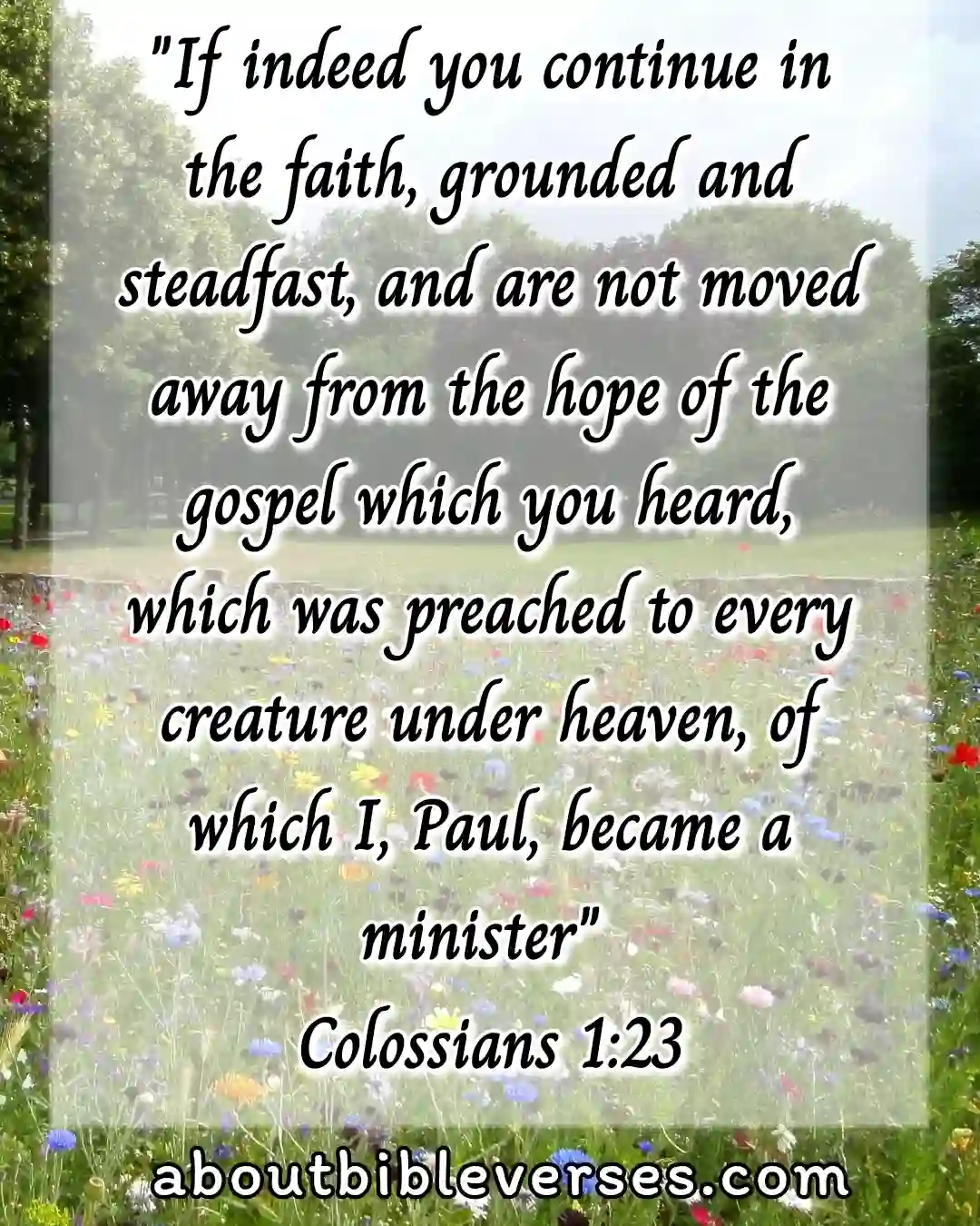 today bible verse (Colossians 1:23)