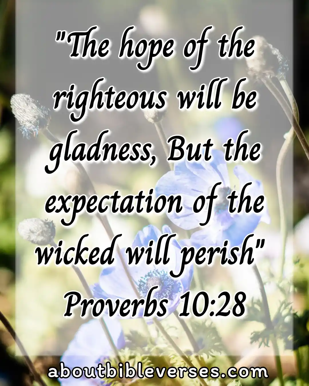 Today bible verse (Proverbs 10:28)
