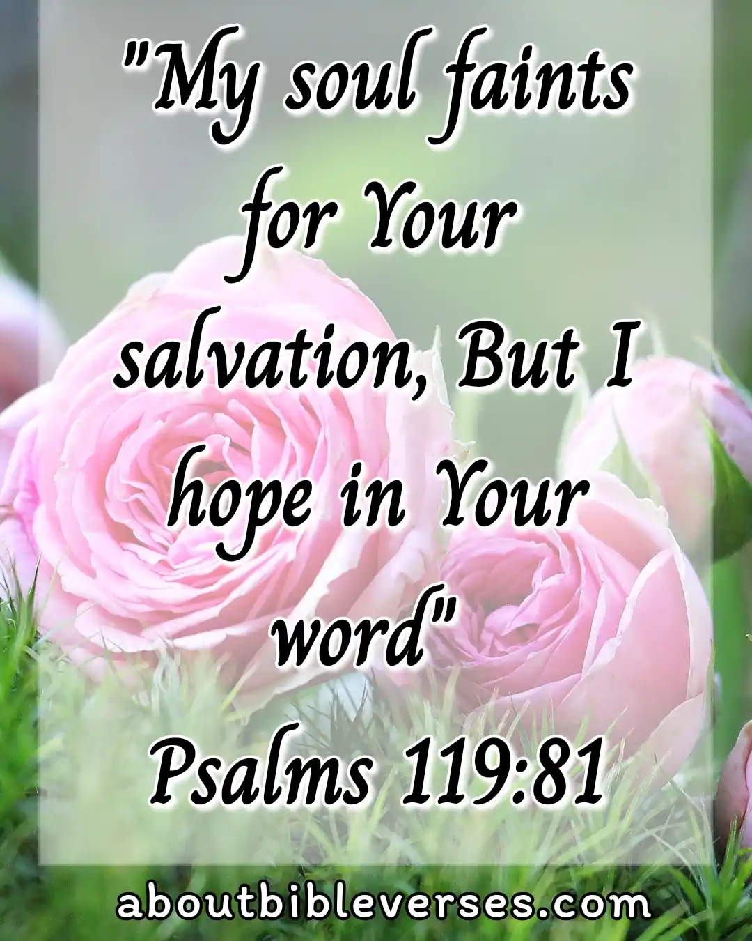 hope bible verses (Psalm 119:81)