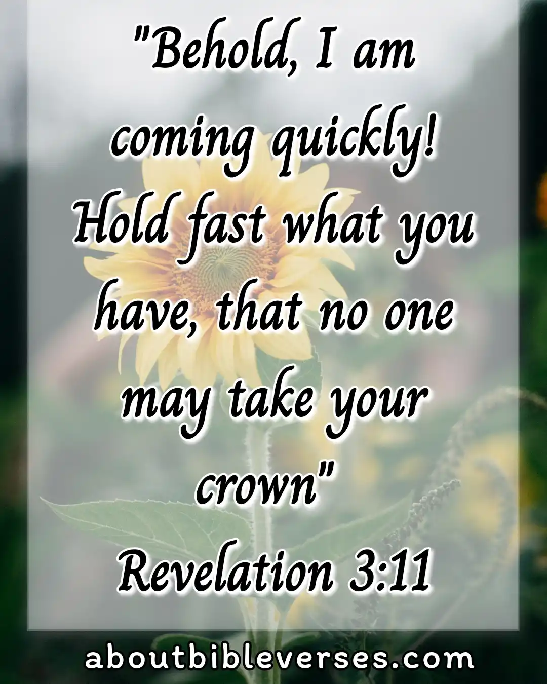 jesus return (Revelation 3:11)