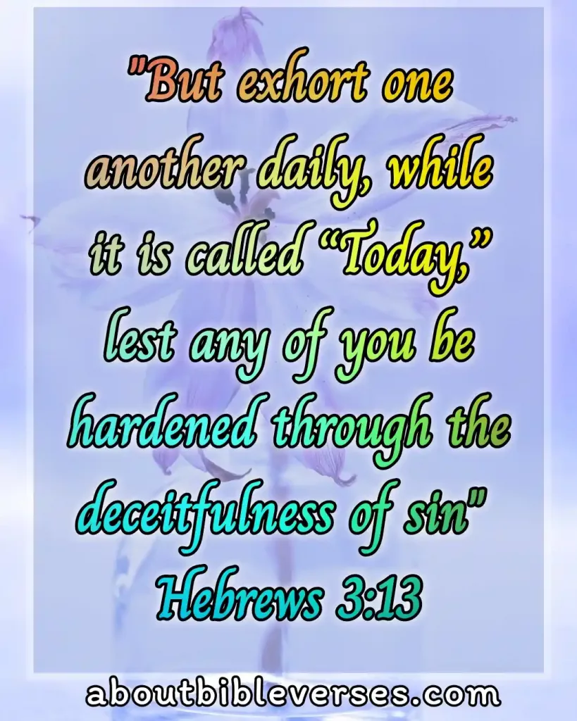 Today's bible verse (Hebrews 3:13)