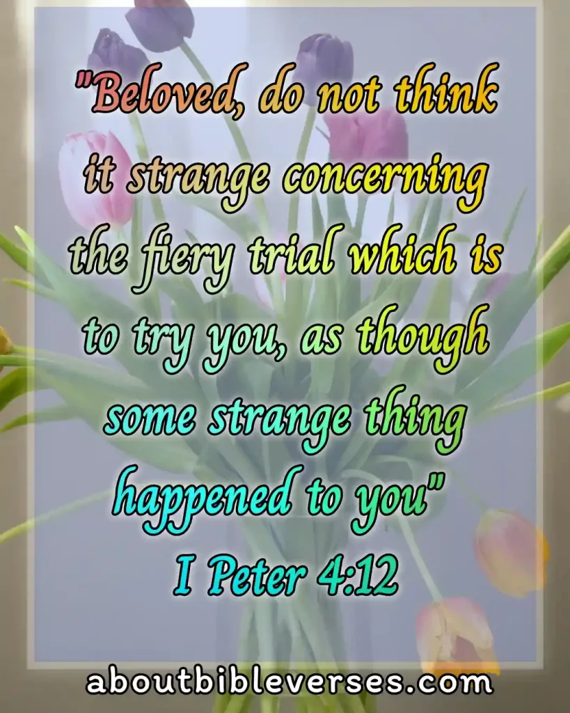 today bible verses (1 Peter 4:12)