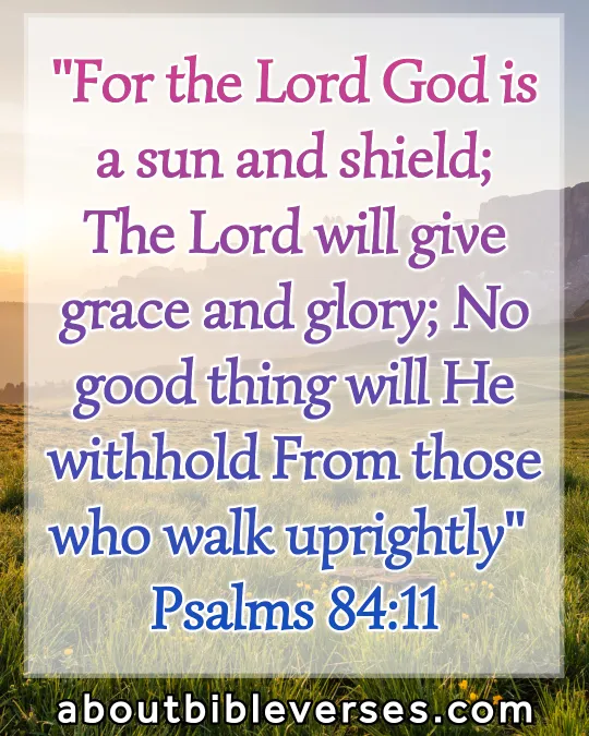 bible verses God's Goodness (Psalm 84:11)