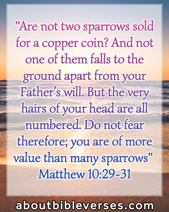 You Are Valuable To God Verses (Matthew 10:29-31)