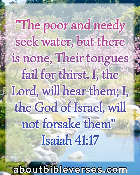 today bible verse (Isaiah 41:17)