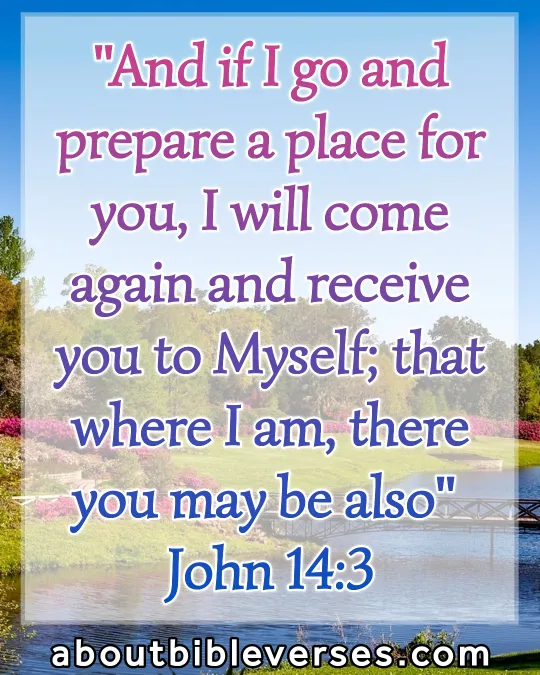 bible verses god will never leave you (John 14:3)