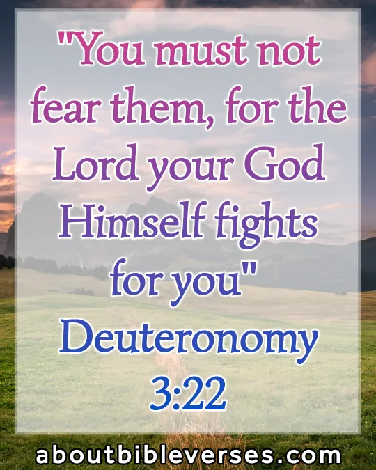 bible verses God will fight for you (Deuteronomy 3:22)