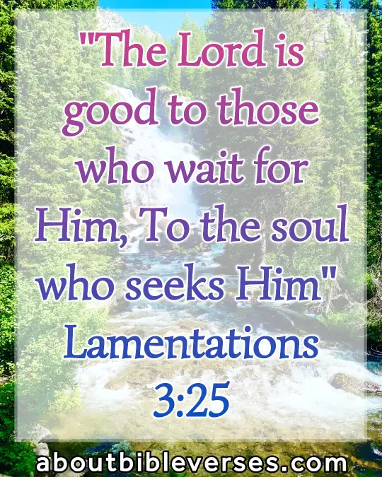 god will take care of you bible verses (Lamentations 3:25)