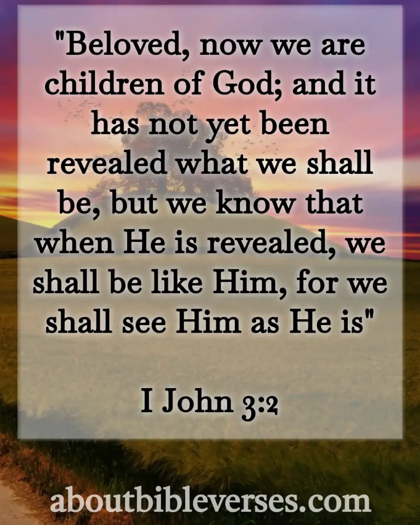 Bible Verses About Being Reunited With Loved Ones In Heaven (1 John 3:2)