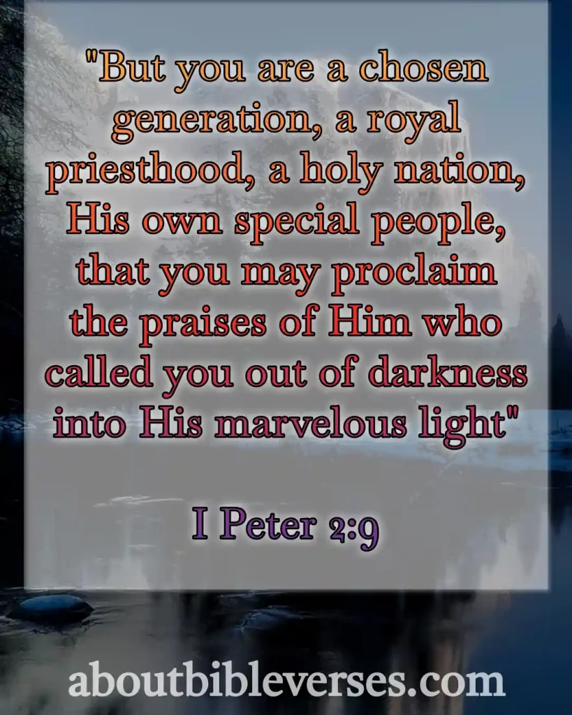 today bible verse (1 Peter 2:9)
