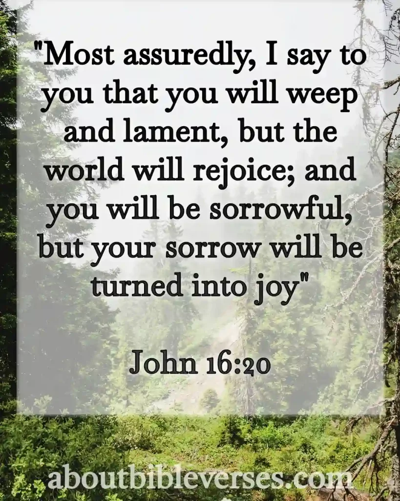 Today Bible Verse (John 16:20)