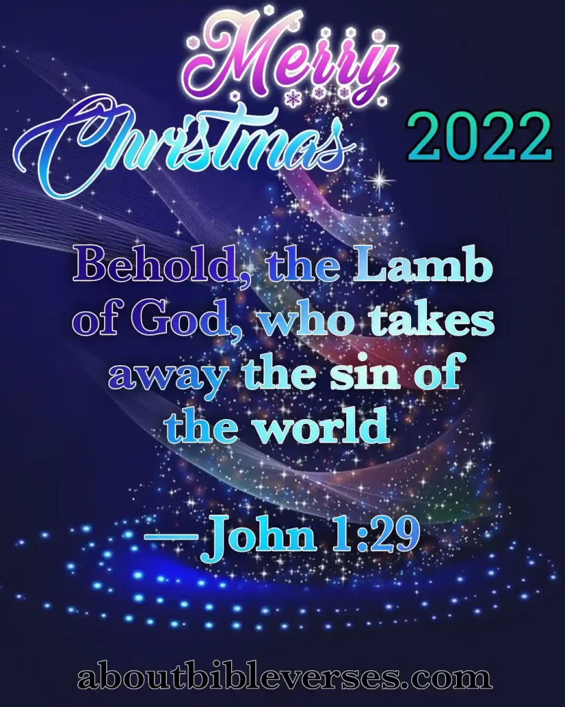 Christmas Bible Quotes Image (5)