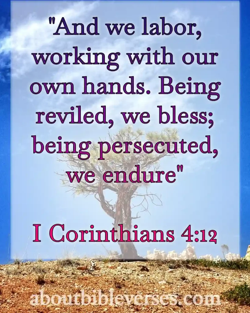 Today Bible Verse (1 Corinthians 4:12)