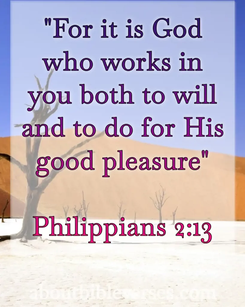 Happy Morning Tuesday Blessings Bible Verse (Philippians 2:13)