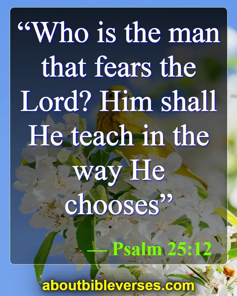 Bible Verses About God Give Us Freedom Of Choice (Psalm 25:12)