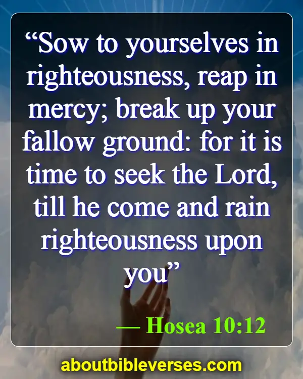 Bible Verses about Seeking God (Hosea 10:12)