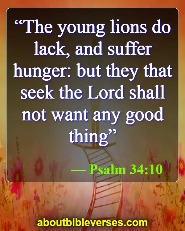 Bible Verses about Seeking God (Psalm 34:10)