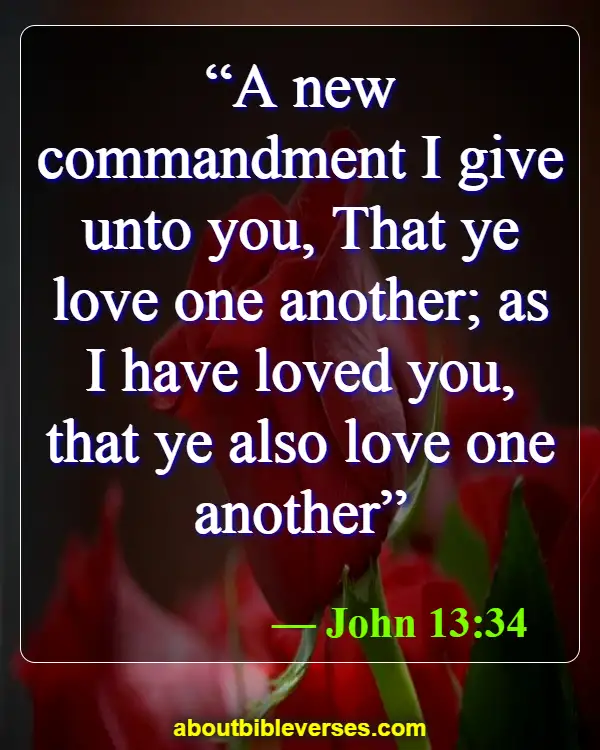 Bible Verses About Caring For Others (John 13:34)