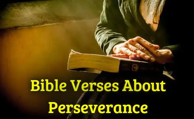 Bible-Verses-About-Perseverance