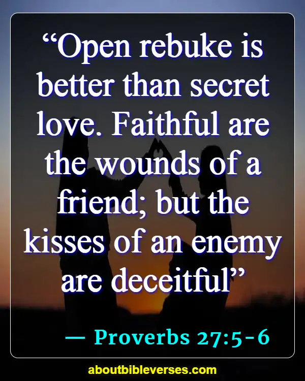 Bible Verses About friendship (Proverbs 27:5-6)
