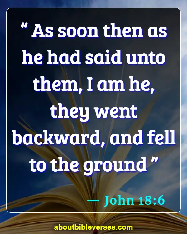 Bible Verses About Affirmation (John 18:6)