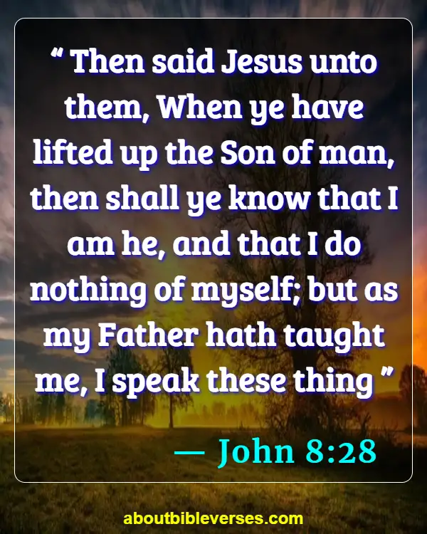 Bible Verses About Affirmation (John 8:28)