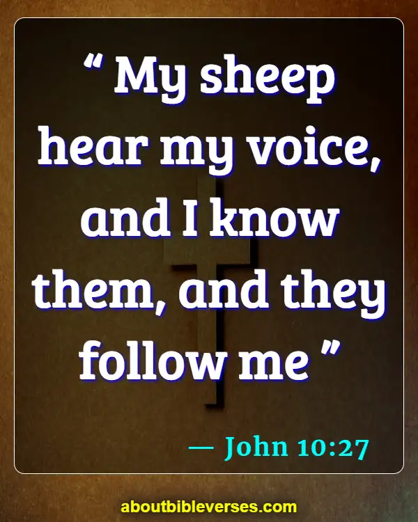Bible Verses About Listening To The Voice Of God (John 10:27)