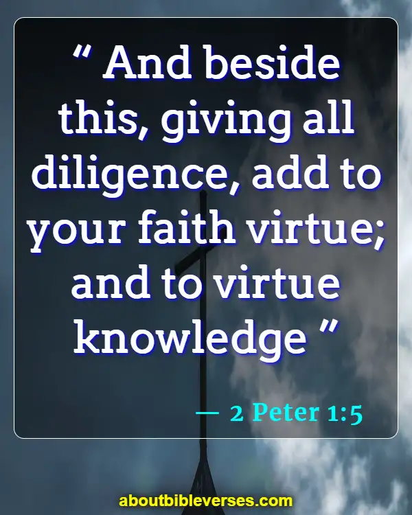 Bible Verses About Morality And Ethics (2 Peter 1:5)