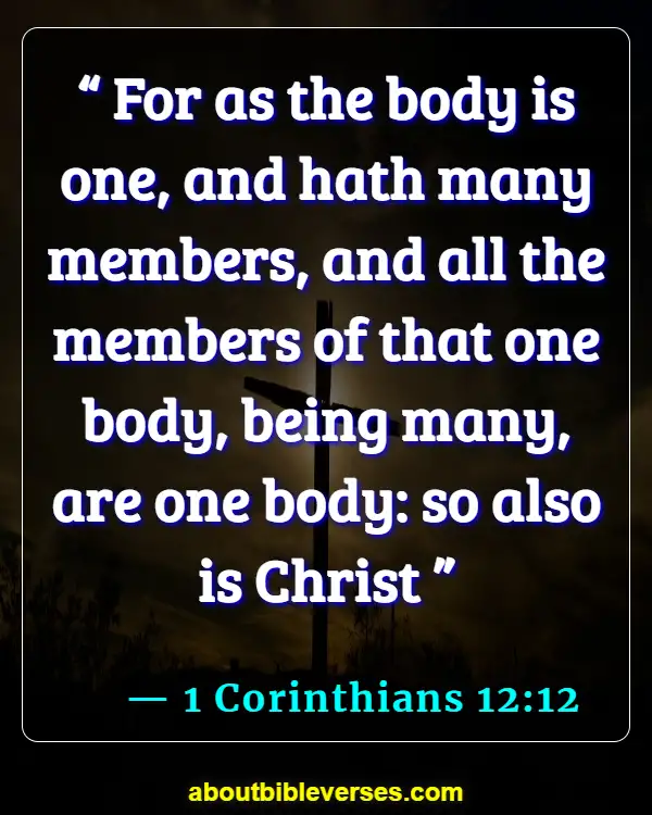 Bible Verses About Taking Care Of Your Body (1 Corinthians 12:12)