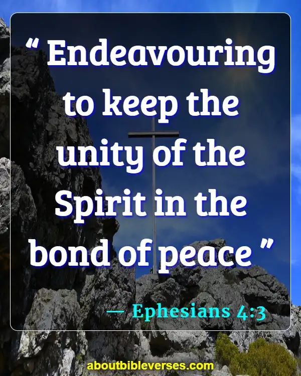 Bible Verses About Unity And Working Together (Ephesians 4:3)