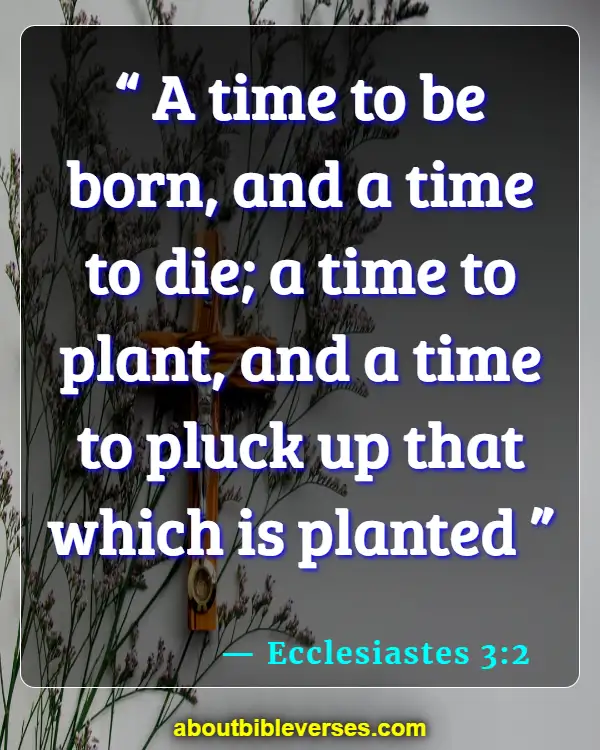 Bible Verses About death (Ecclesiastes 3:2)