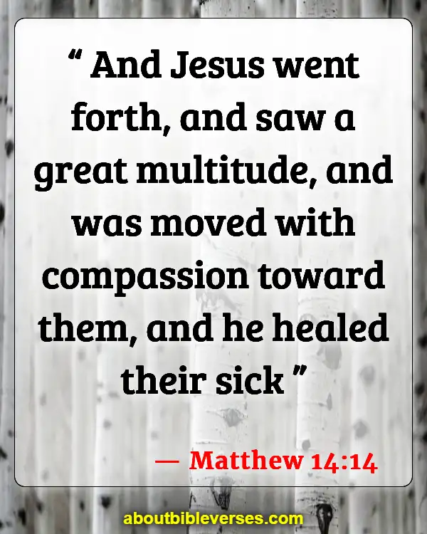 Bible Verses About Caring For The Sick (Matthew 14:14)