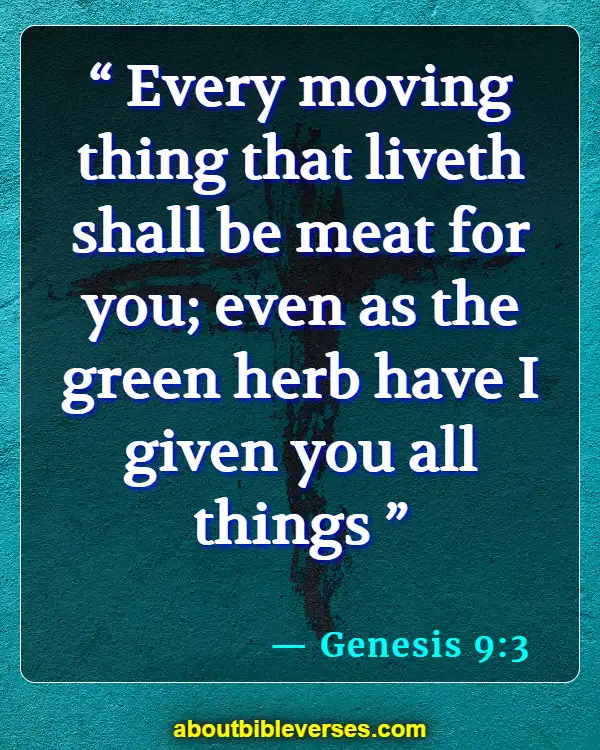 bible verses about God's provision (Genesis 9:3)