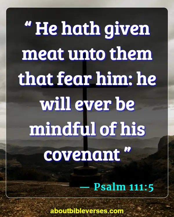 bible verses about God's provision (Psalm 111:5)