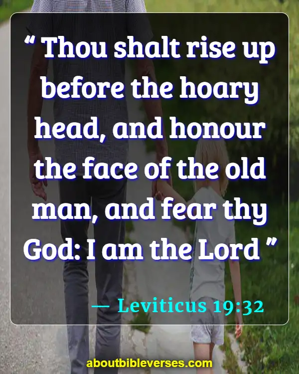 Bible Verses About Age And Wisdom (Leviticus 19:32)