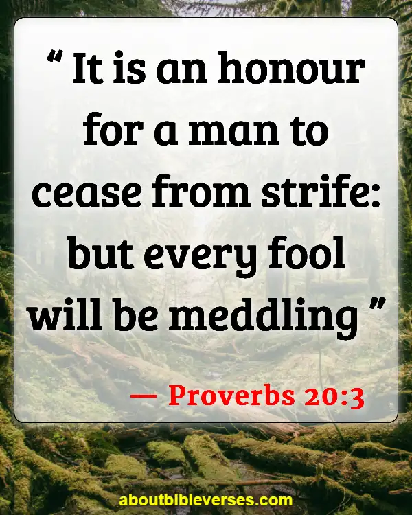 Bible Verses About Quarreling (Proverbs 20:3)