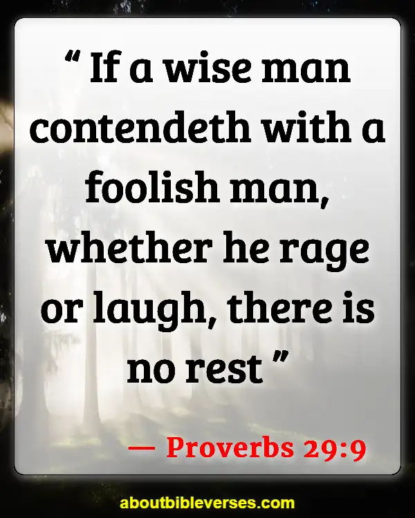 Bible Verses About Do Not Argue With A Fool (Proverbs 29:9)