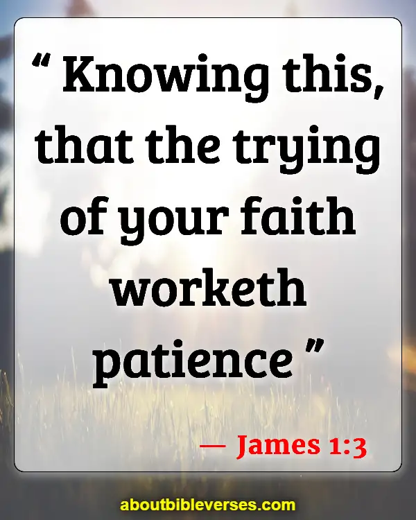 Bible Verses To Strengthen your Faith In God (James 1:3)