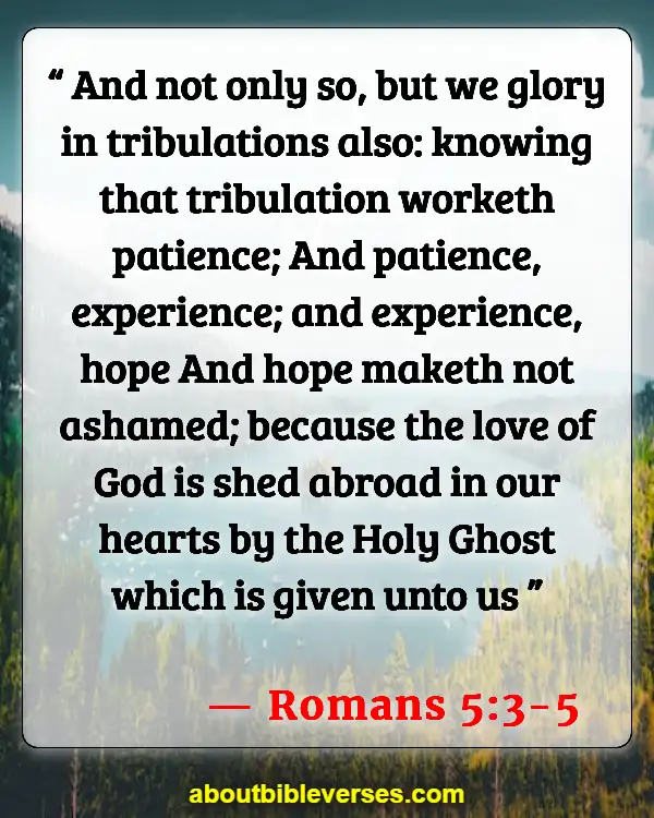 Bible Verse About Job Suffering (Romans 5:3-5)