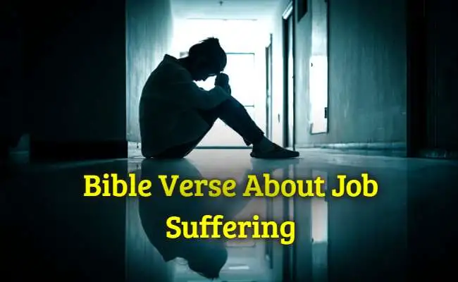 Bible Verse About Job Suffering