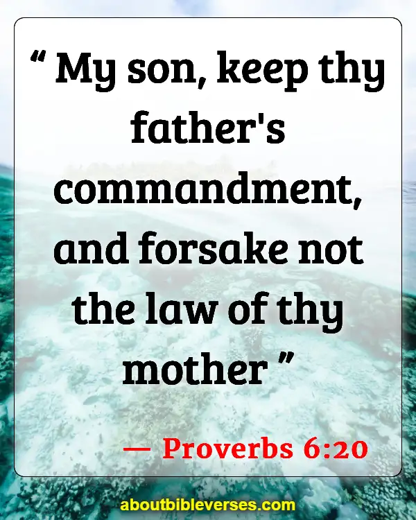 Bible Verses About Behavior (Proverbs 6:20)