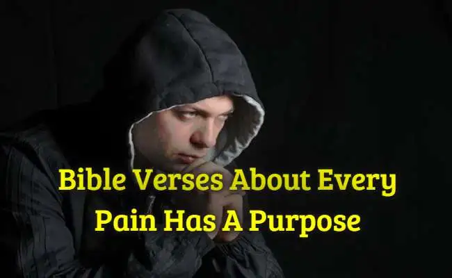 Bible Verses About Every Pain Has A Purpose