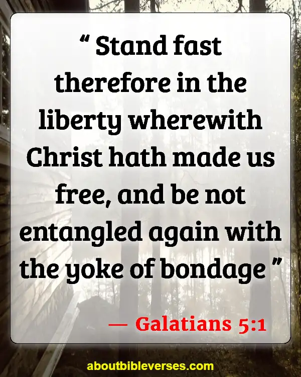 Bible Verses About Living A Disciplined Life (Galatians 5:1)