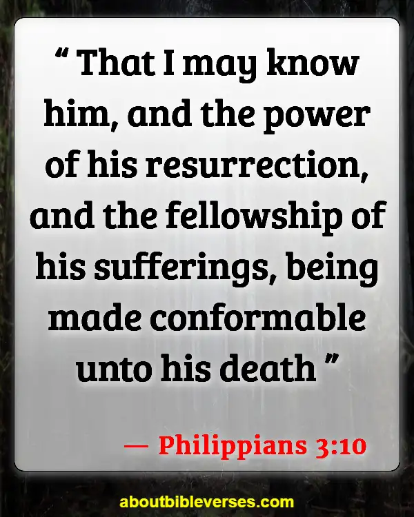 Bible Verses About Resurrection Of Jesus (Philippians 3:10)
