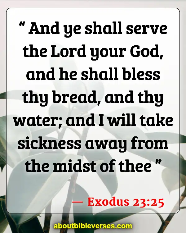 Bible Verses About Caring For The Sick (Exodus 23:25)