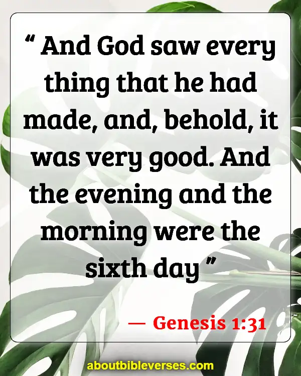Bible Verses About God's Beautiful Creation (Genesis 1:31)