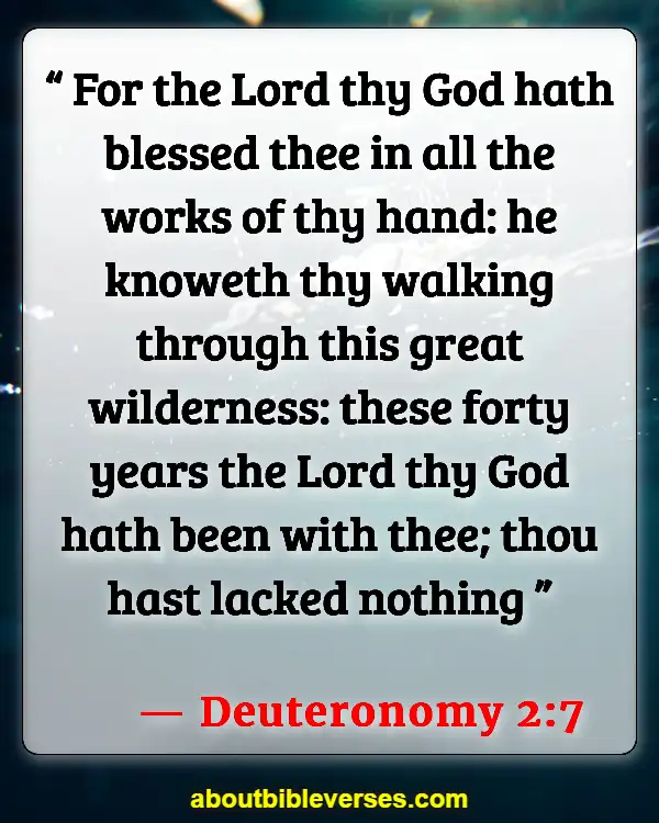 Bible Verses About Achievement (Deuteronomy 2:7)