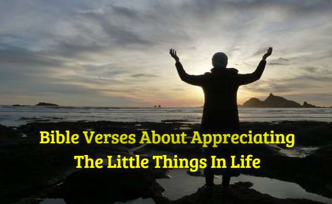 Bible Verses About Appreciating The Little Things In Life
